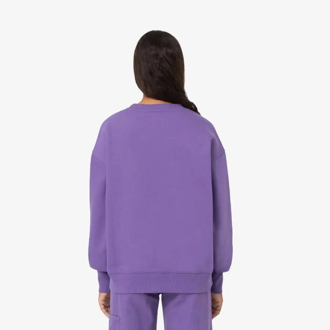 Dickies Garden Plains Sweatshirt W - Image 3