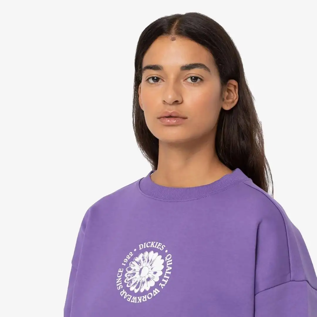 Dickies Garden Plains Sweatshirt W - Image 4