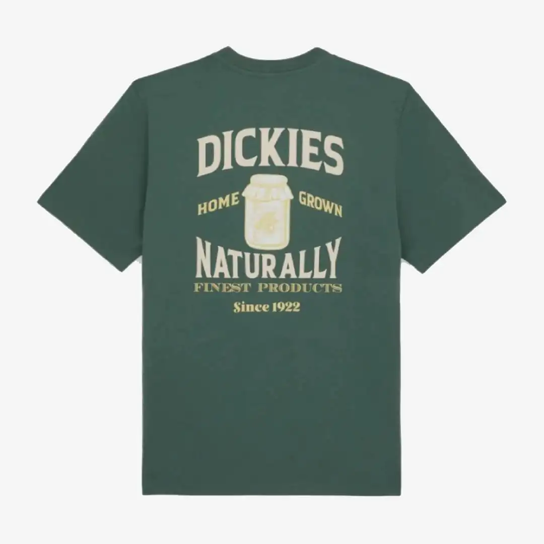 Dickies Elliston Tee Ss - Image 4
