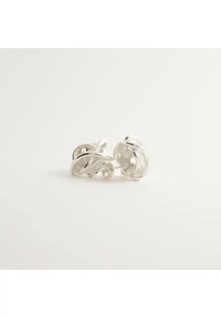 Pendientes de Vanderly 300