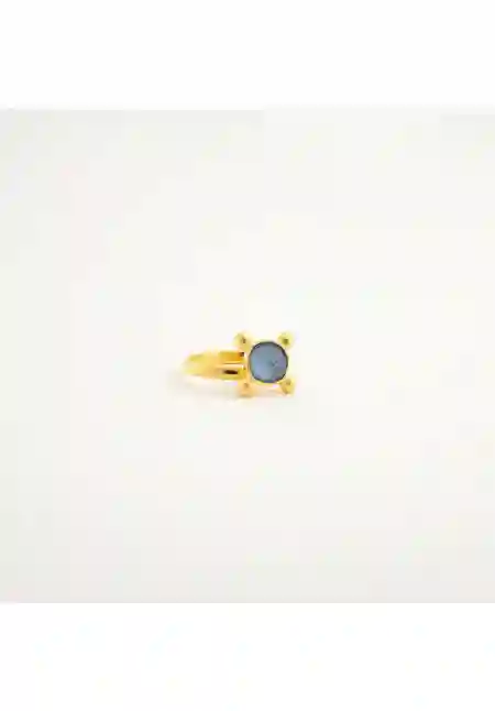 Vanderly Anillo 322