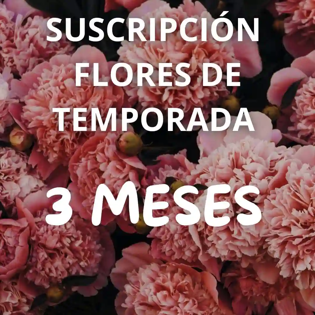 Suscripción Flores para Casa 3 Meses (Standart)