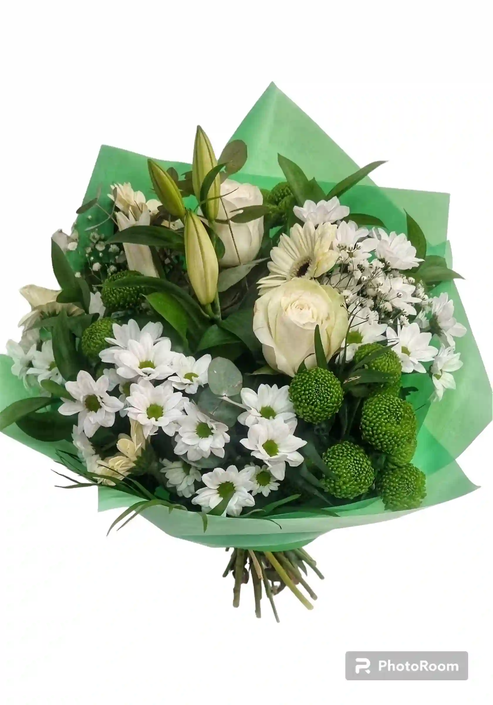 Ramo Menta