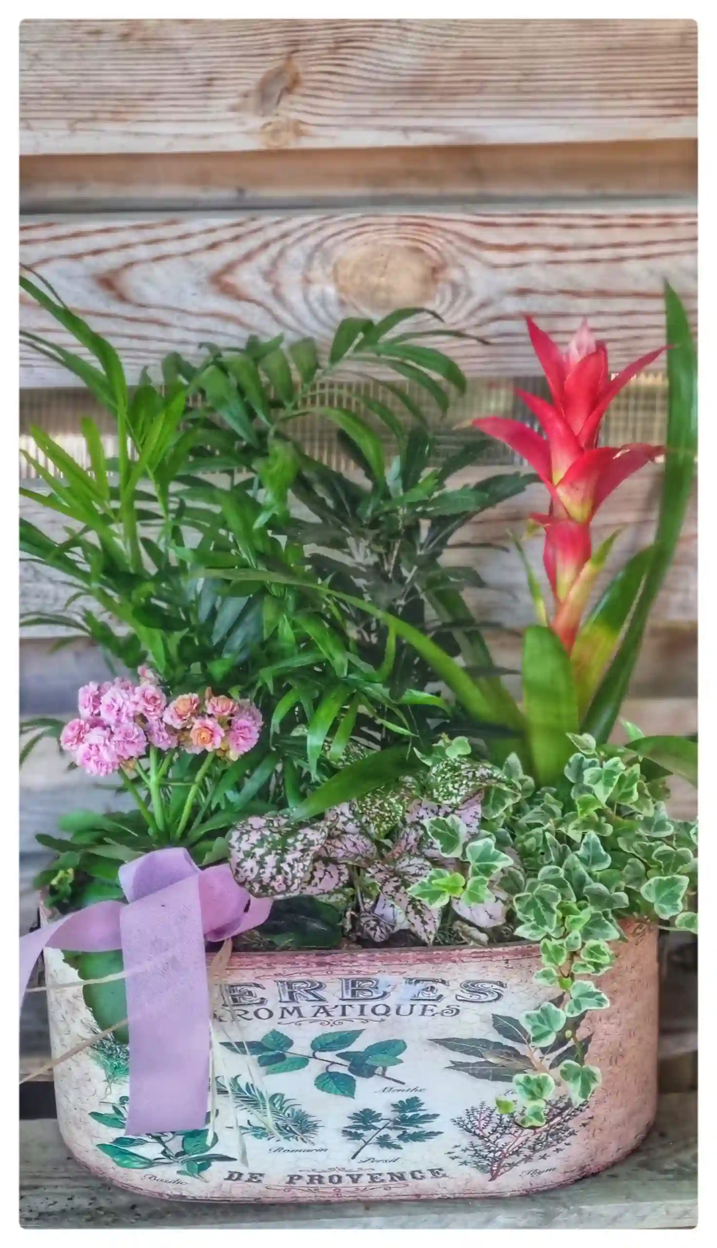 Caja de plantas antiqua