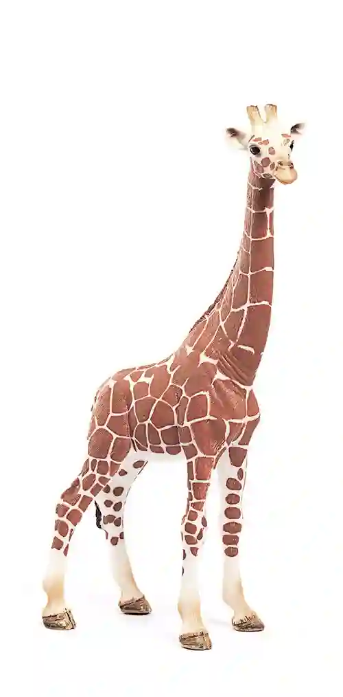 Schleich® 14750 Jirafa Hurbra