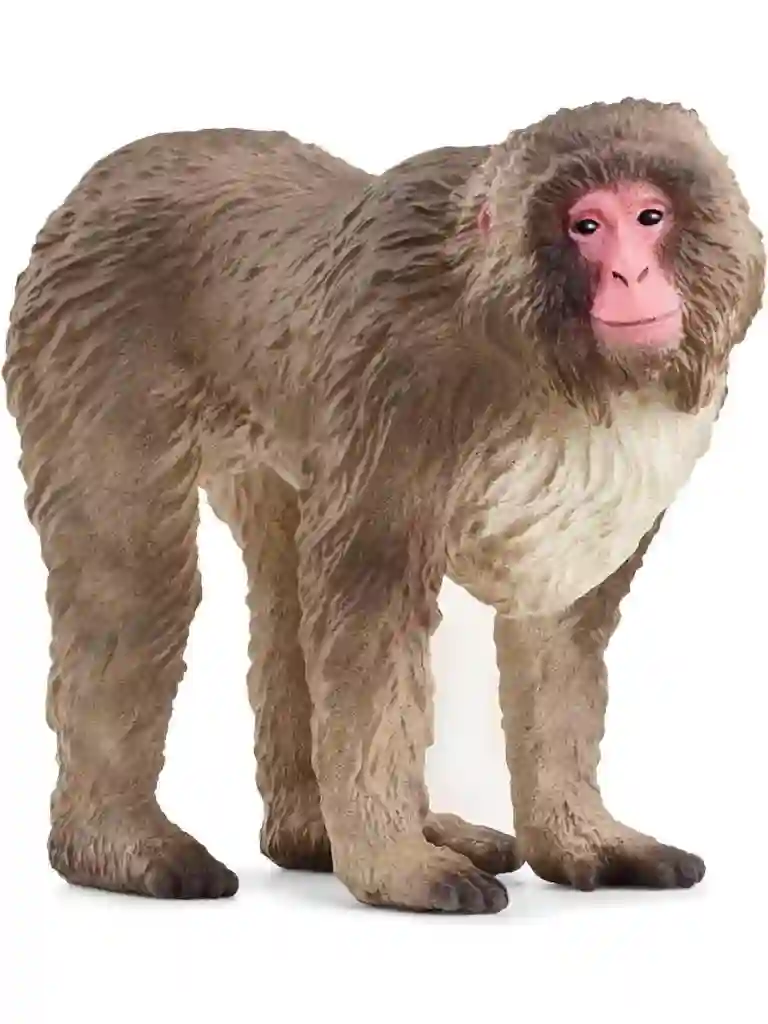 Schleich® 14871 Macaco Japones