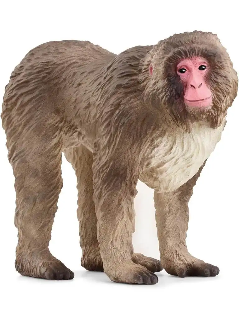 Schleich® 14871 Macaco Japones