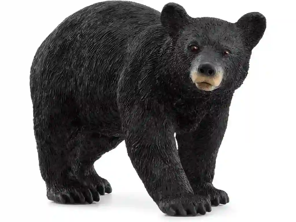Schleich® 14869 Oso Negro Americano
