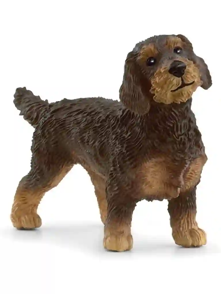 Schleich® 13972 Teckel de Pelo Duro