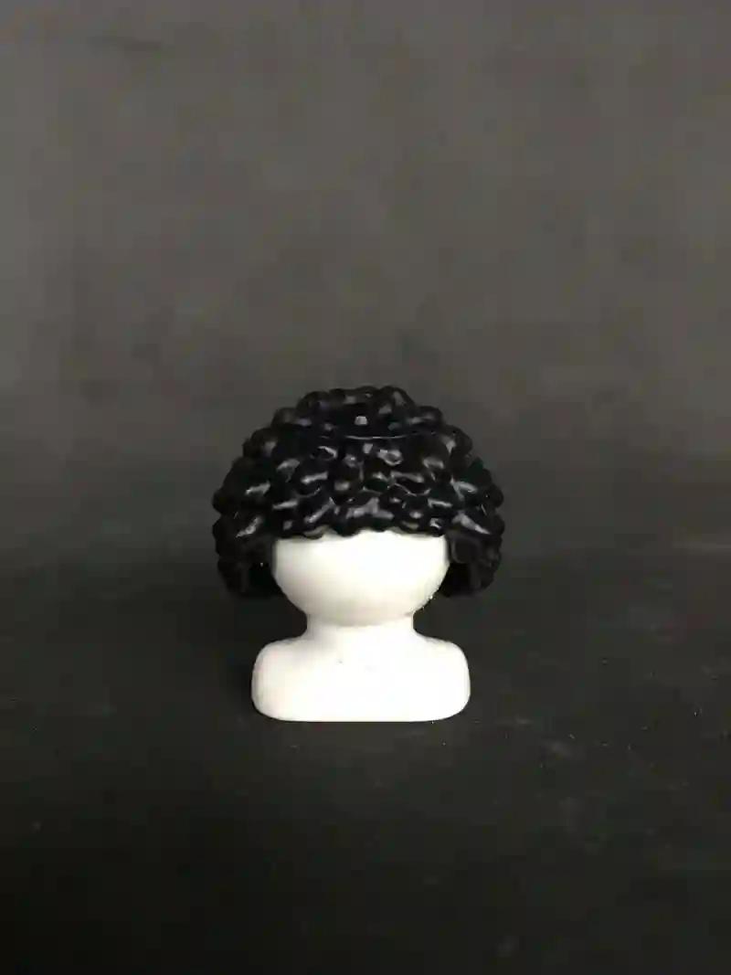 PL_0004, Pelo Afro Negro