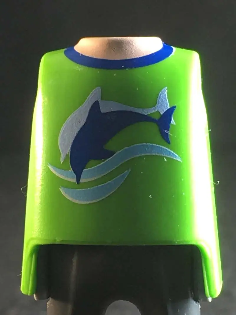 Torso_0219 Torso Vede Manzana Delfines