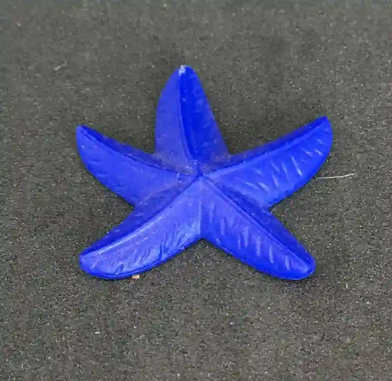 A_0004 Estrella de Mar Azul