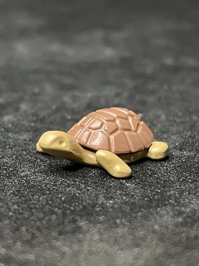 A_0589 cría de tortuga wiltopia