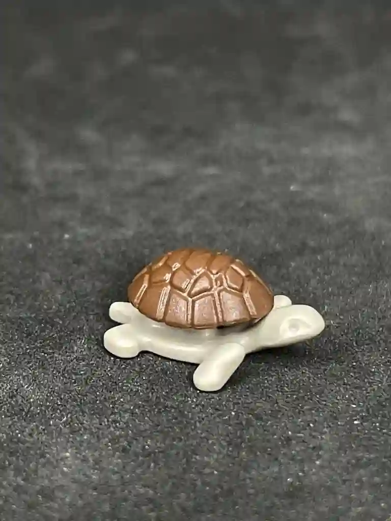 A_0617 cría de tortuga caparazón marrón