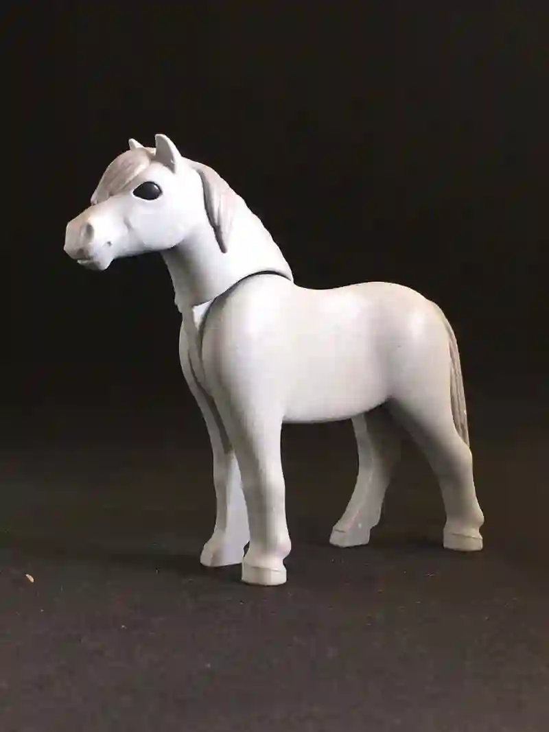 A_0187 Poni Gris