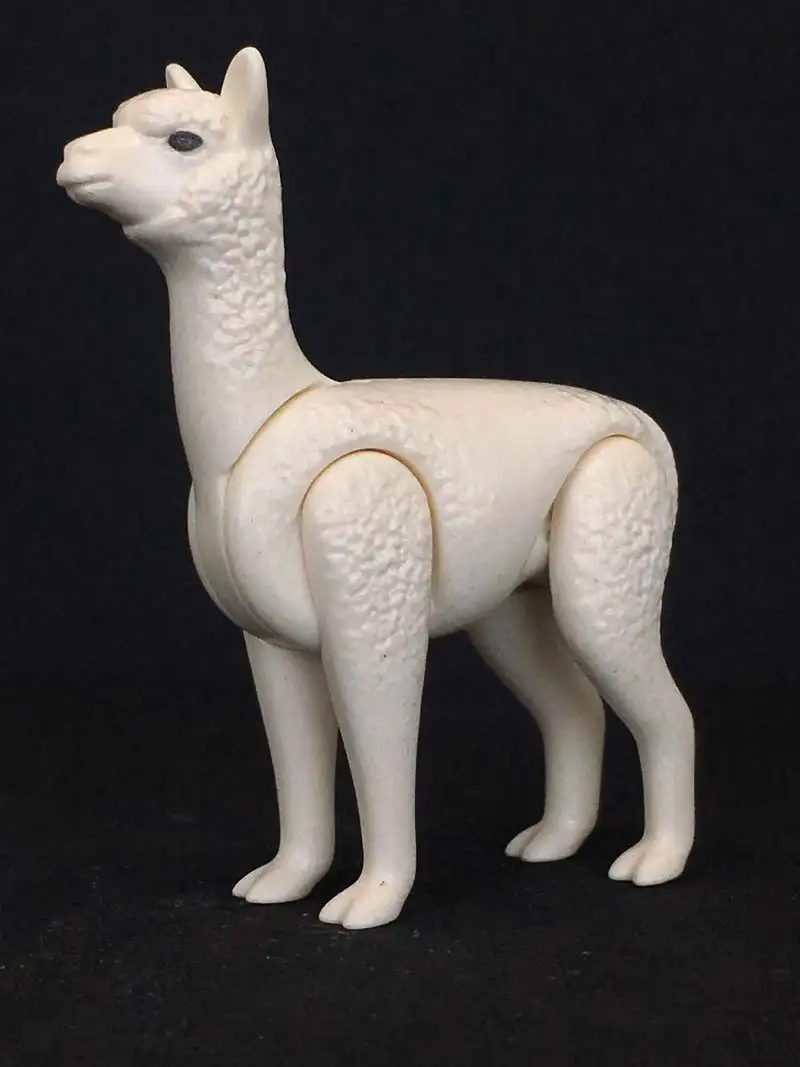 A_0091 Llama Adulta