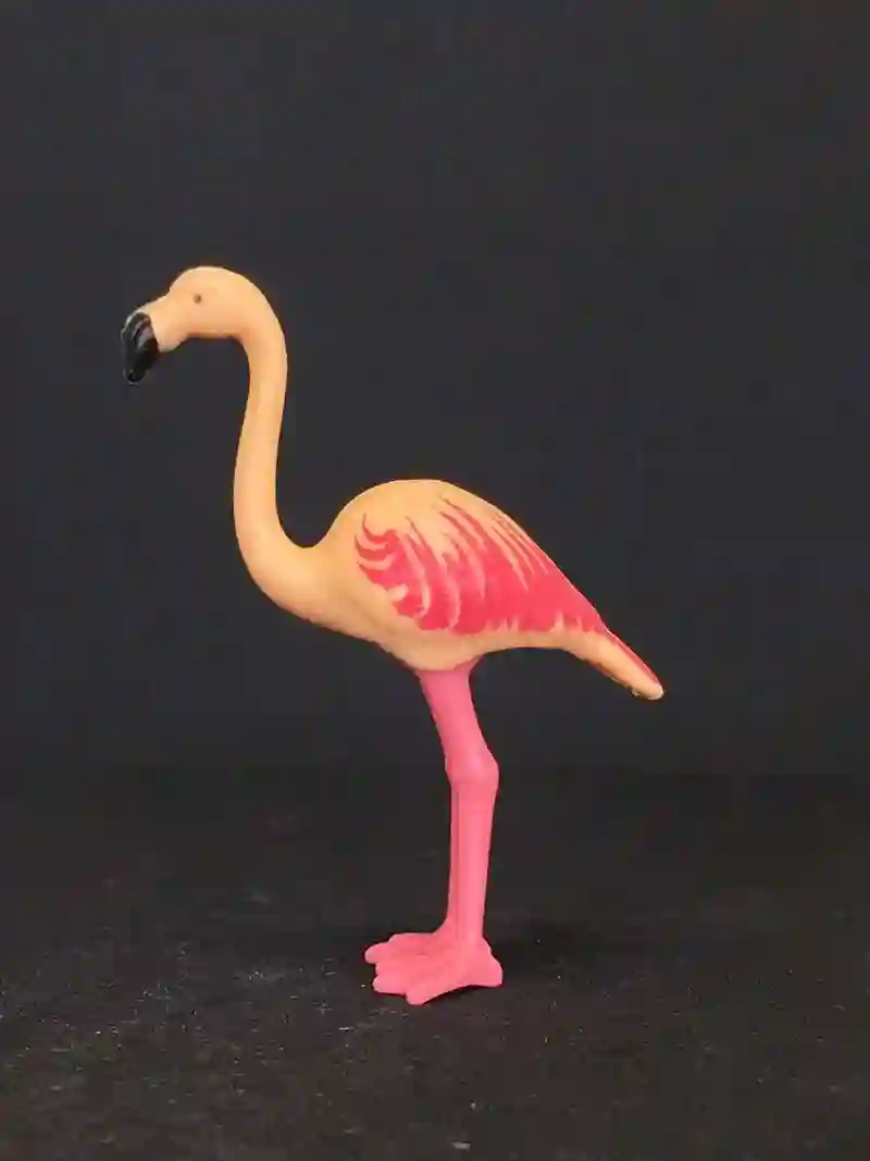 A_0071 Flamenco Naranja