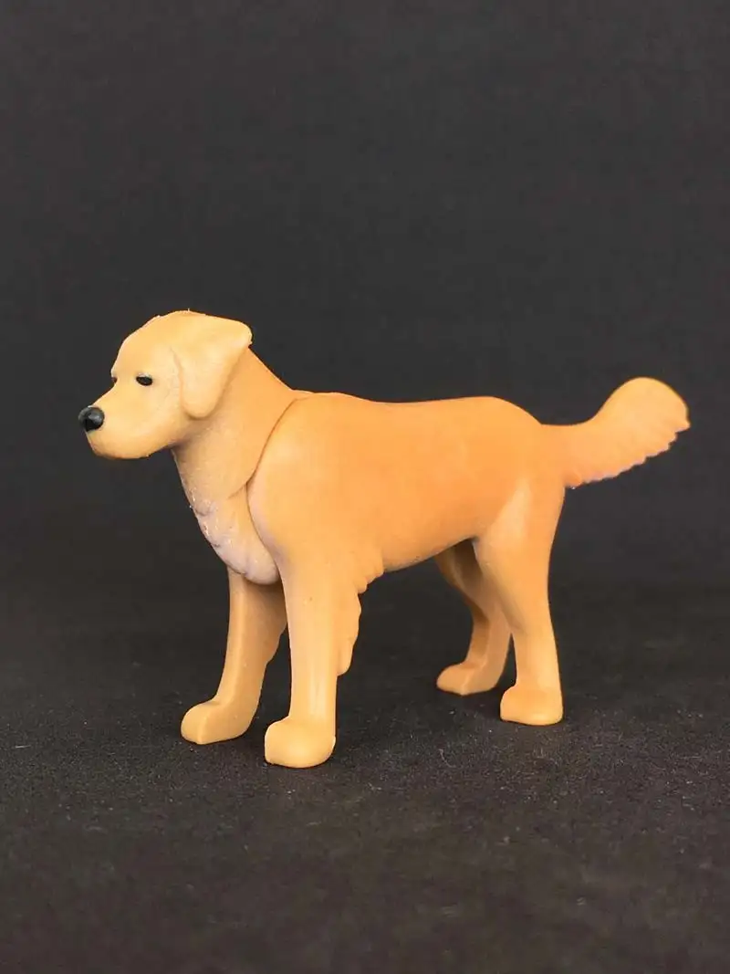 A_0008 Perro Golden Retrevier Canela