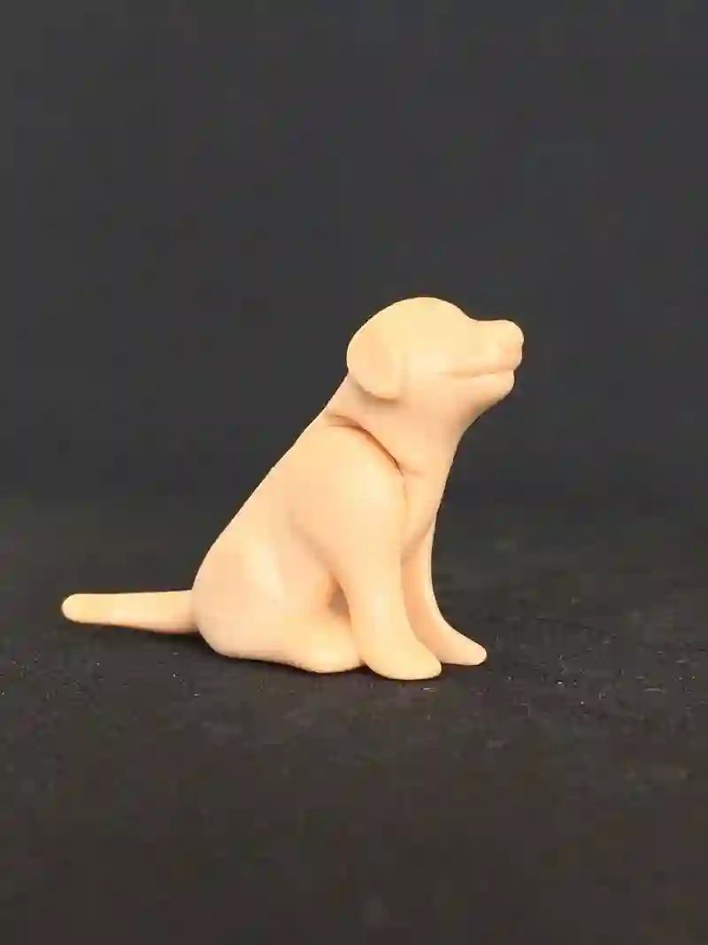 A_0017 Cachorro Perro Beige Sentado