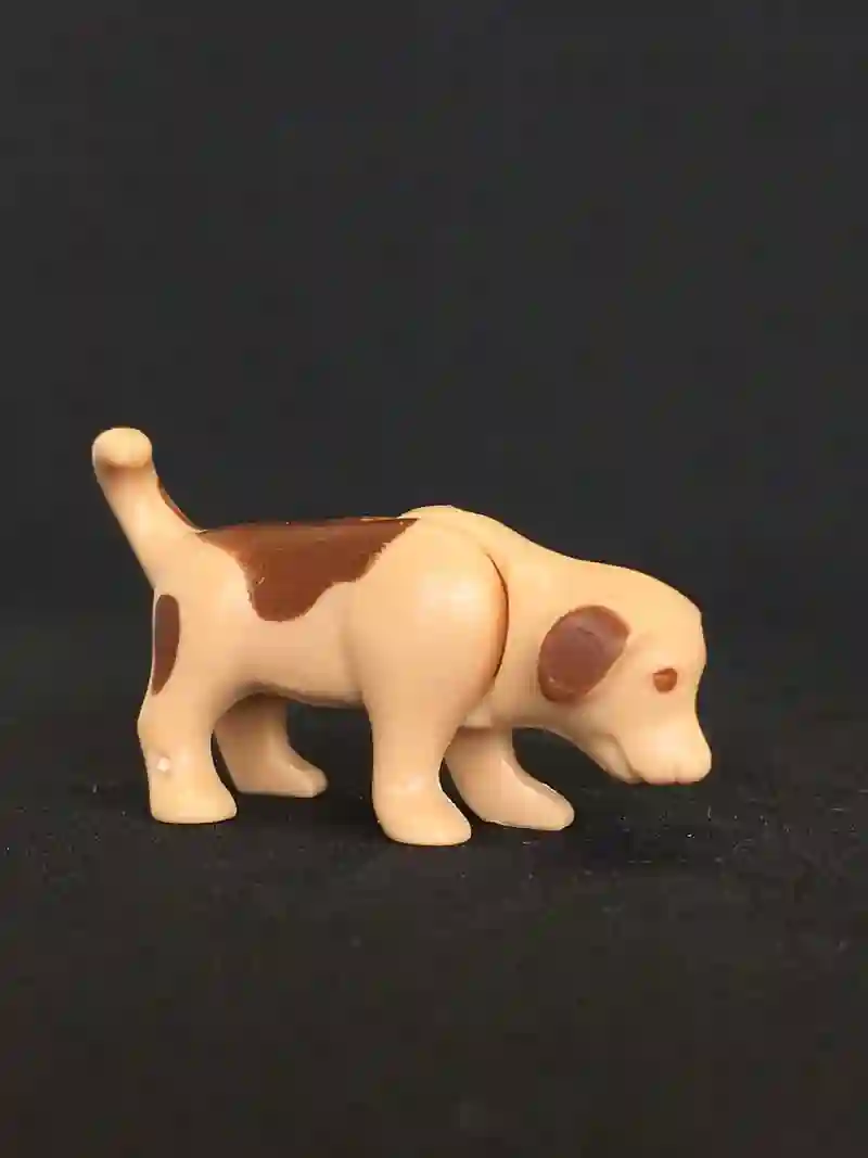 A_0019 Cachorro Perro Beige Manchas