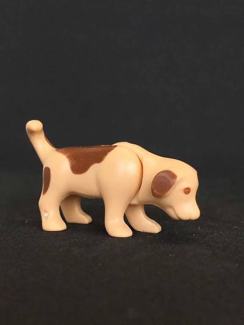 A_0019 Cachorro Perro Beige Manchas