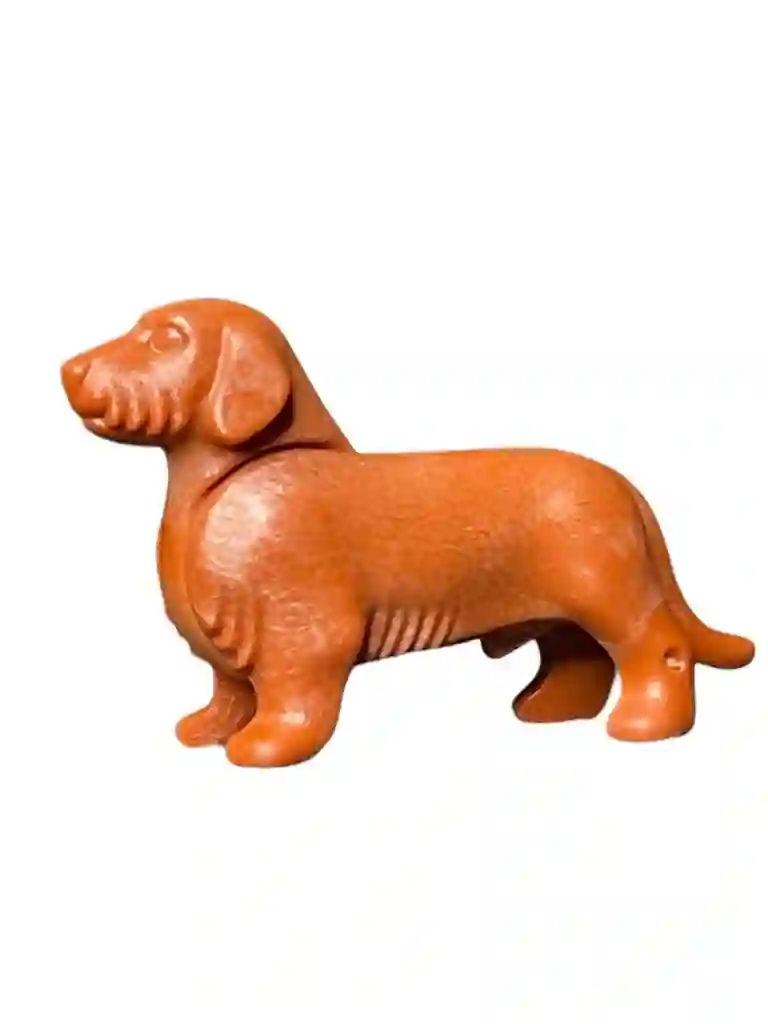 A_0062 Perro Salchicha