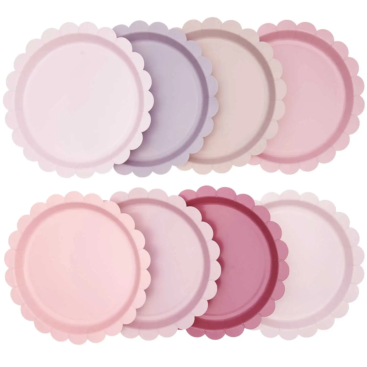 Rosas de mezcla de platos - 8UD