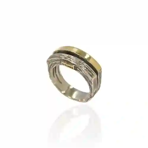 Anillo styliano plata y oro