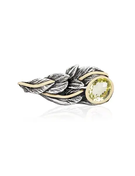 Broche plata