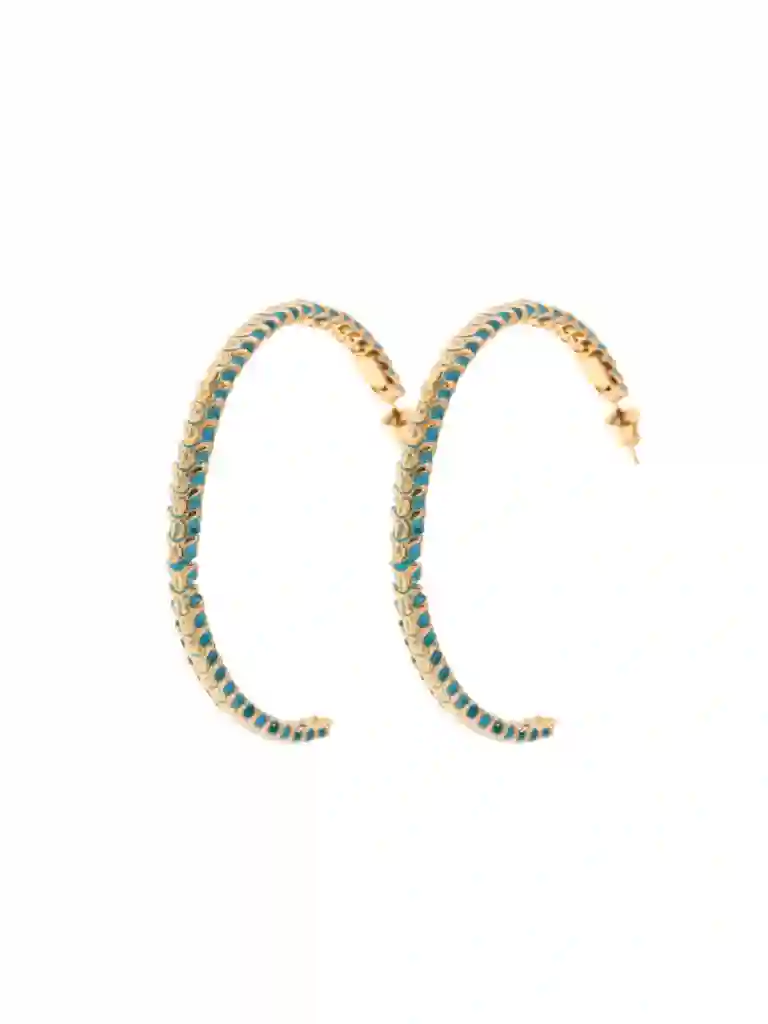 Circle Bone Big Earrings