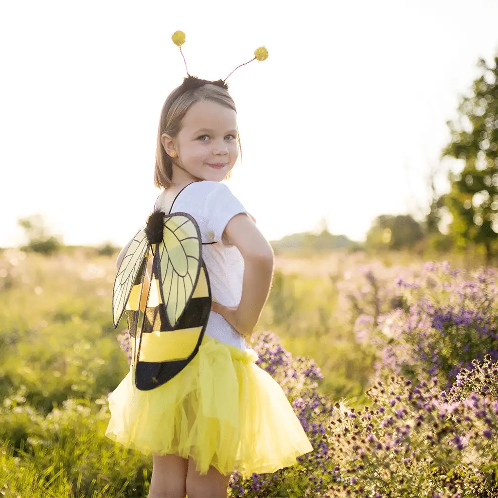 Disfraz abeja