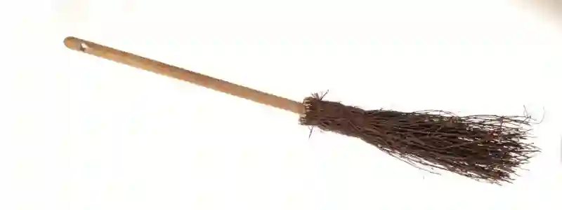 Witch broom