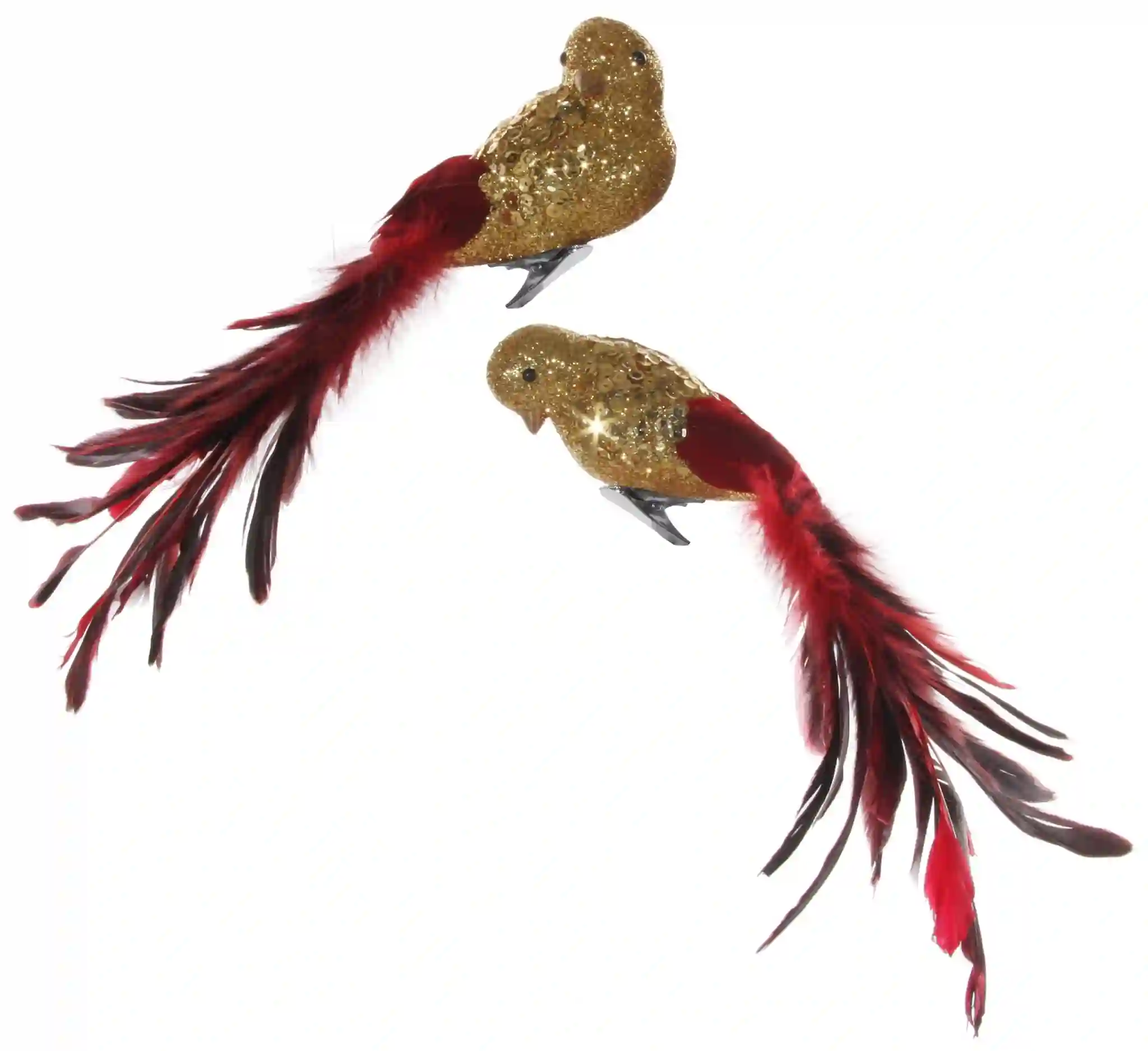 Gold bird with red tail