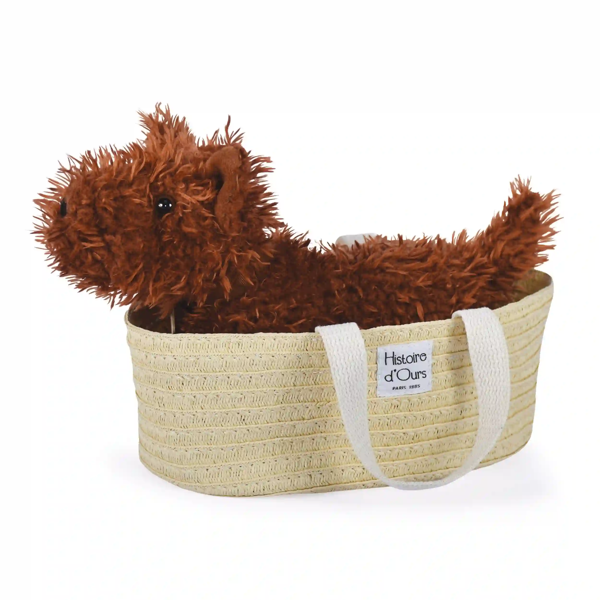 Perro Fox Marrón