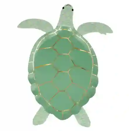 Turtle dishes