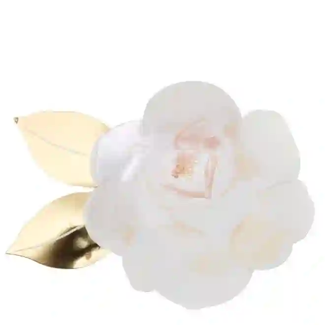 White pink dishes