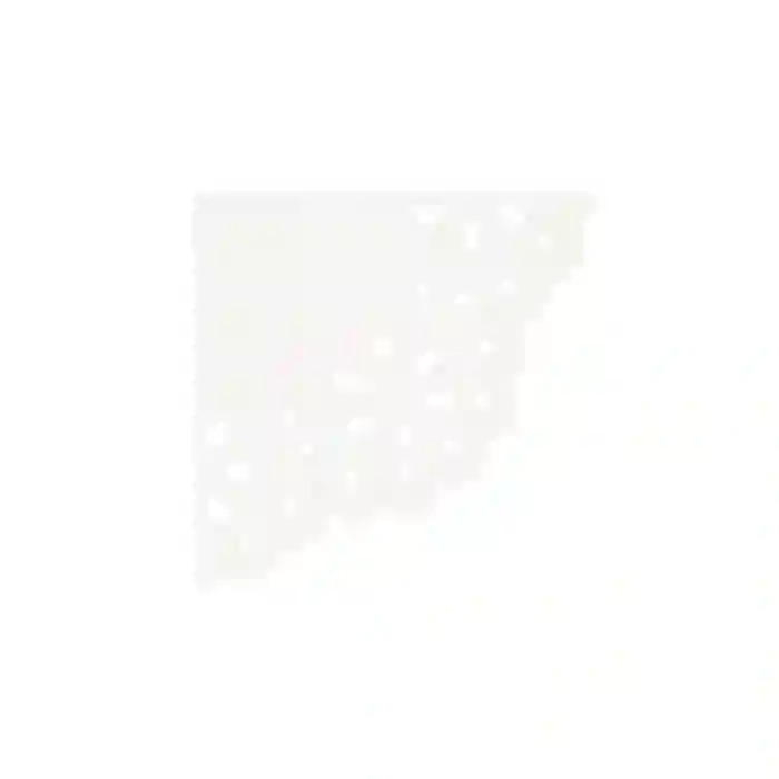 Small White Broderie Anglaise napkins