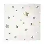 Silver Silver Napkins