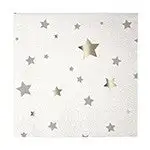 Silver Silver Napkins