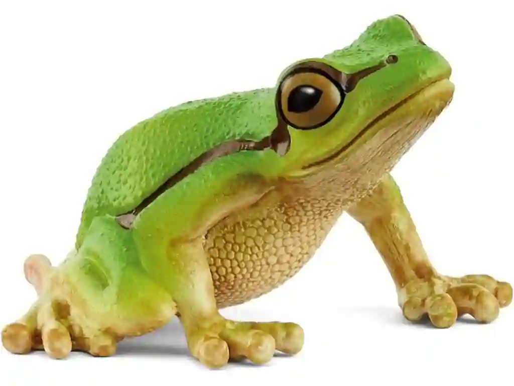 Schleich® 14882 Rana Arborícola Europea