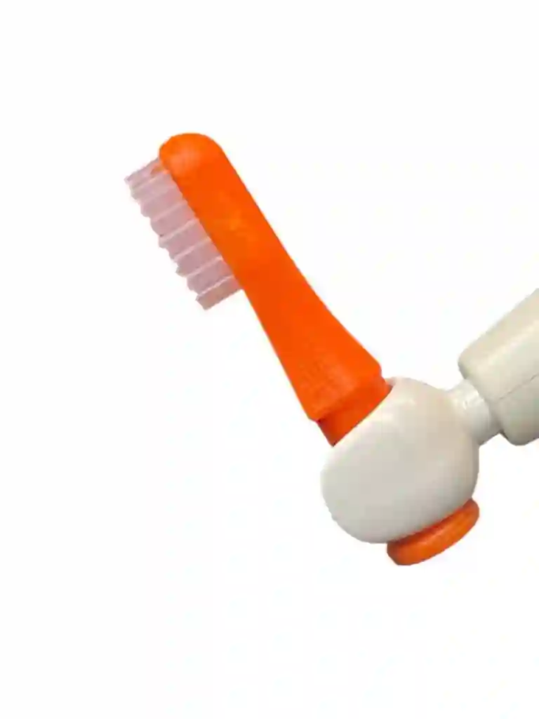 MC_1725 orange toothbrush