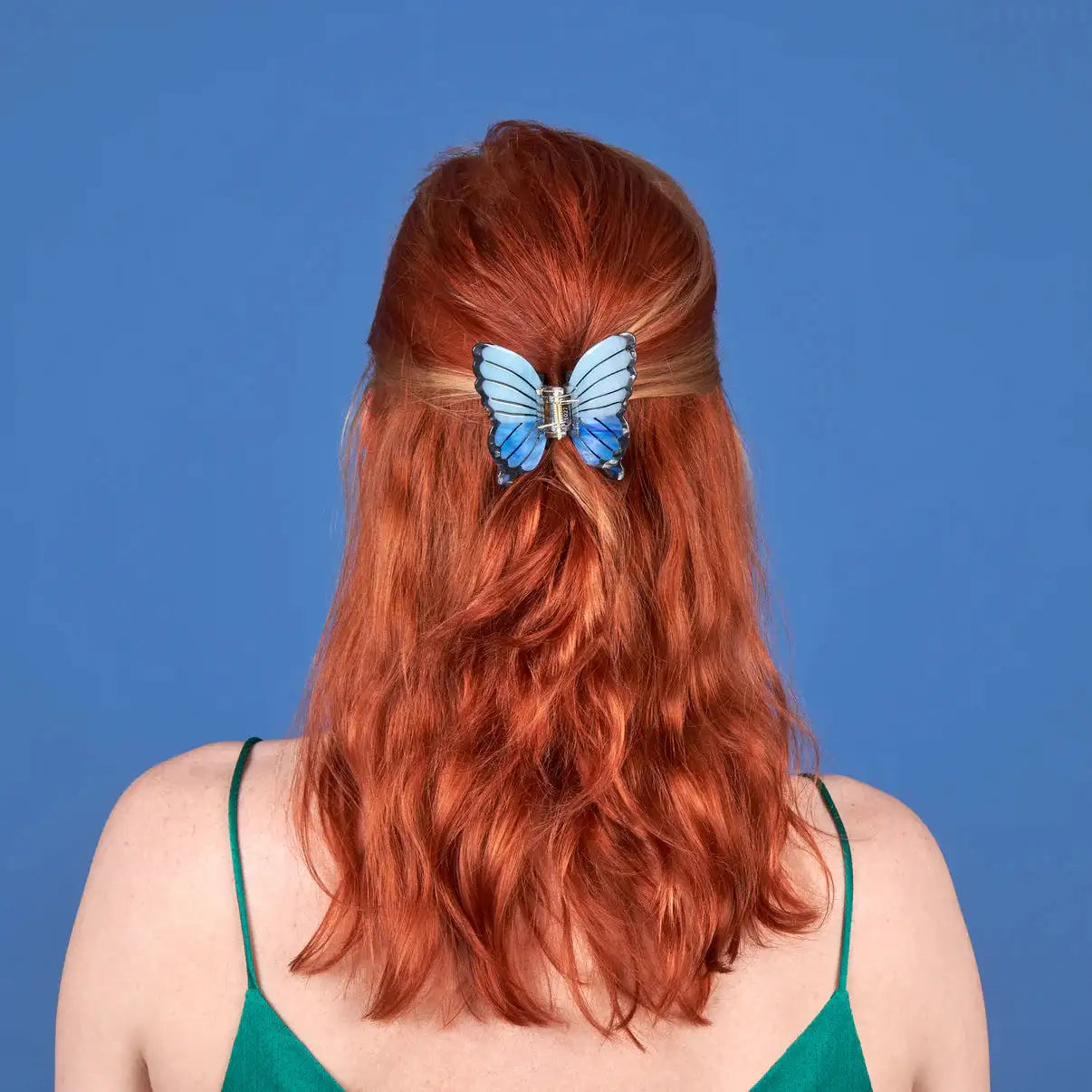 Mariposa azul de la garra del cabello - Imagen 2