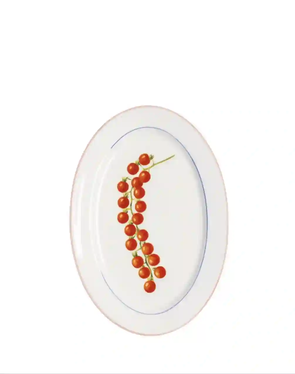 Bandeja ramita de tomates