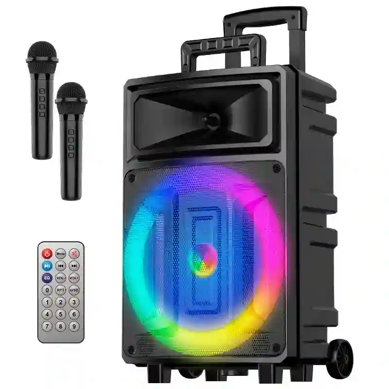 Universal Bluetooth music speaker (2 microphones + control) Cool Fest 60W