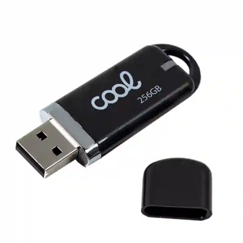 Pen drive x USB 256 GB 2.0 Cool Cover Black