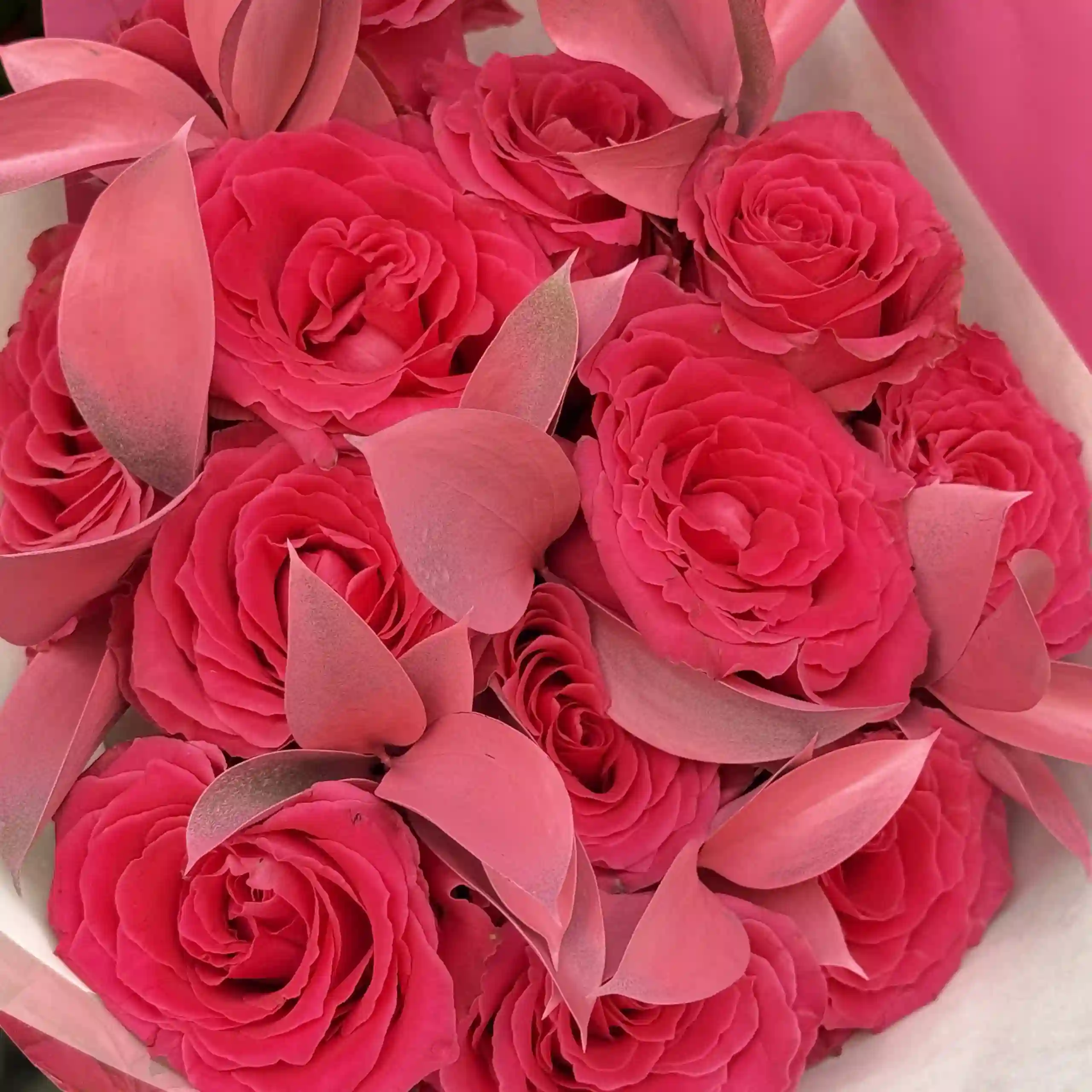 Rosas fucsia 13 tallos
