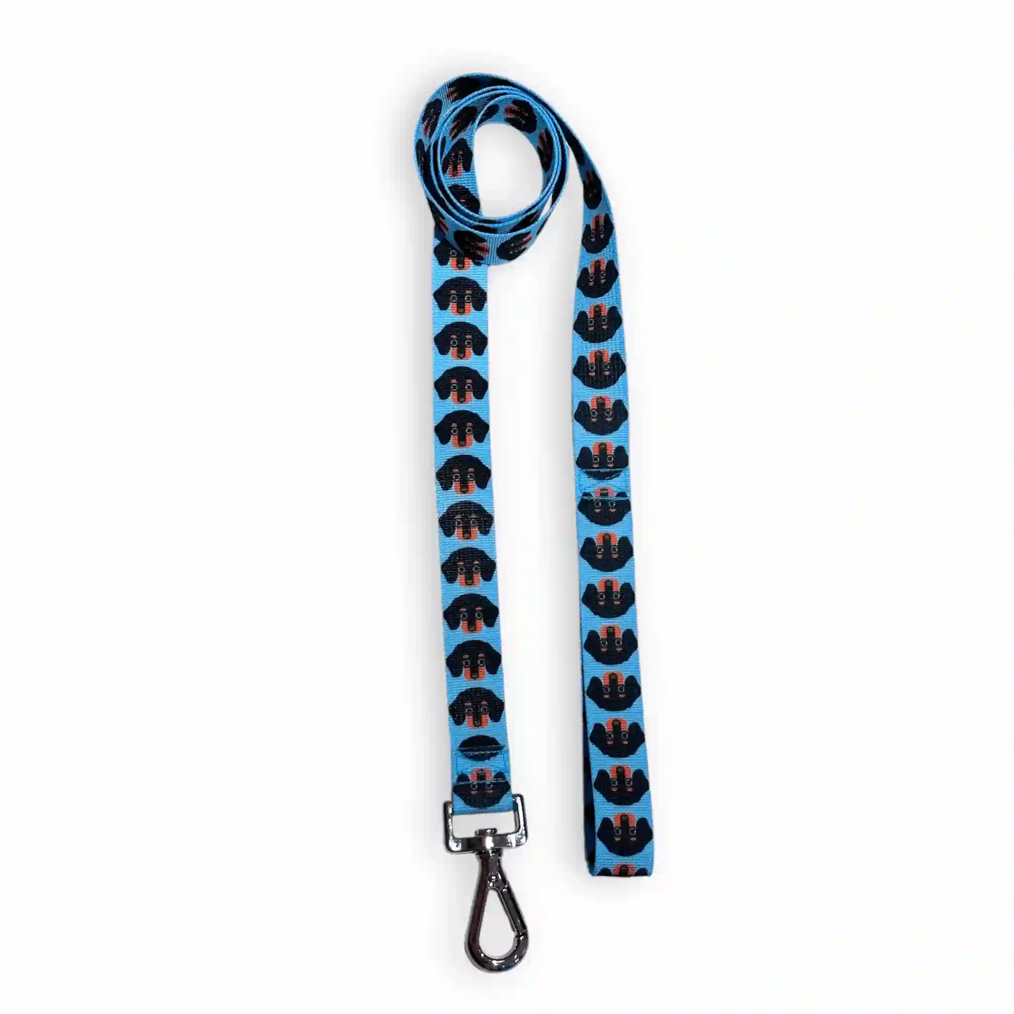 Blue Teckel Correa