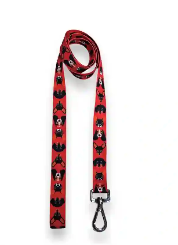 Various dogs belt and