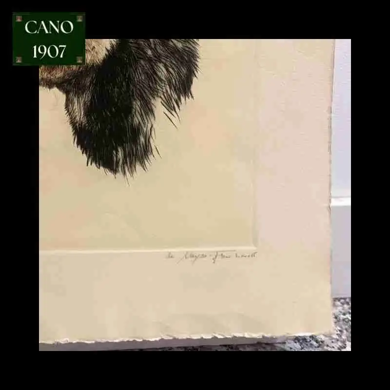 Lámina "Cabra Montesa" - Imagen 3