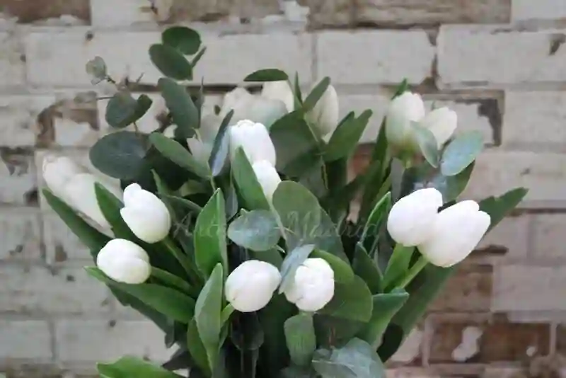 Ramo de tulipanes 20 unidades